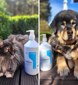 Irodori Vet Olej z łososia dla psa i kota Irodori Vet 1000ml 5