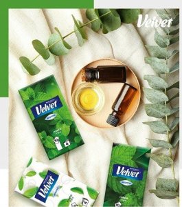 Velvet Chusteczki higieniczne VELVET, Eukaliptus i mentol, 4-warstwowe, 10x10szt., białe 2