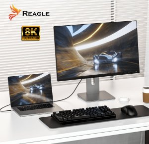Kabel USB Reagle USB-C - USB-C 2 m Czarno-szary 2