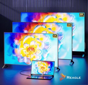 Kabel USB Reagle USB-C - USB-C 0.5 m Czarny 2