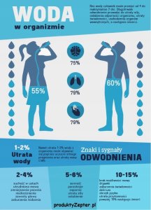 Zepter Filtr do wody - Edel Wasser Gold Zepter Montaż Gratis + Prezent 3