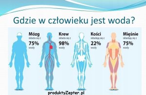 Zepter Filtr do wody - Edel Wasser Gold Zepter Montaż Gratis + Prezent 5