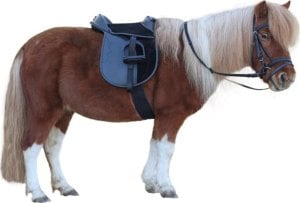 Kerbl Kerbl Zestaw z siodłem Economy, rozmiar Pony, 15", 325415 1