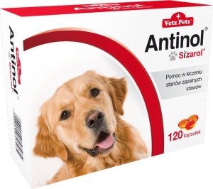 Triton BIOVICO ANTINOL SIZAROL PIES 120 tabletek NA STAWY 2