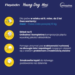 Triton VETOQUINOL Flexadin Young Dog Maxi 60kąsków 5