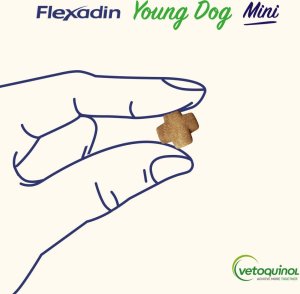 Triton VETOQUINOL Flexadin Young Dog Mini 60kąsków 3