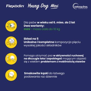 Triton VETOQUINOL Flexadin Young Dog Mini 60kąsków 4