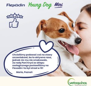 Triton VETOQUINOL Flexadin Young Dog Mini 60kąsków 5