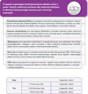 Sante JM SANTE Multiway Vet Duocaps Osteo 60tabl. 2