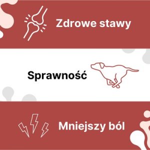 Triton LAB-V Arthrohard 1000ml Preparat na wsparcie stawów dla psa i kota 4
