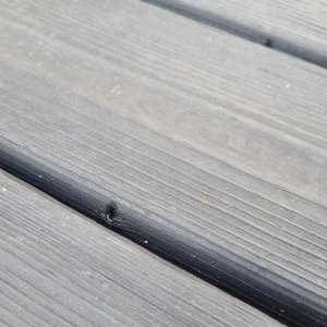 Camo Wood screws ProTech C4 48mm 350 pcs 3