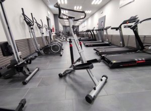 Toorx Stepper  with computer TOORX STEPPER-FORCE 2