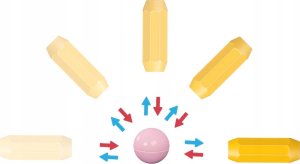 Egaleco L73G4 KLOCKI MAGNETYCZNE DUŻE 64SZT.PRO 8