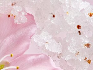 Rituals Rituals The Ritual Of Sakura Renewing Body Scrub Sugar & Cherry Blossom 250g. 5