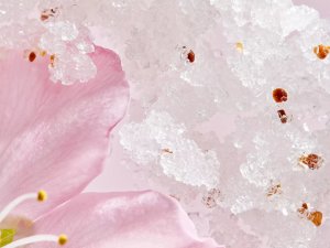 Rituals Rituals The Ritual Of Sakura Renewing Body Scrub Sugar & Cherry Blossom 250g. 10