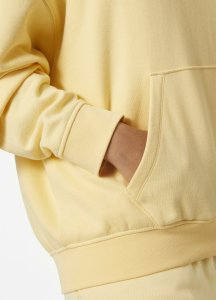 Helly Hansen Helly Hansen damska bluza z kapturem W ALLURE HOODIE 53981 369 M 3