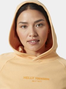 Helly Hansen Helly Hansen damska bluza z kapturem W CORE HOODIE 54033 316 L 3