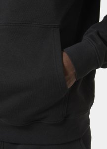 Helly Hansen Helly Hansen męska bluza z kapturem CORE GRAPHIC SWEAT HOODIE 53924 993 L 2
