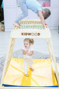 Małpiszon Domowy drewniany plac zabaw basic Domino Kidwood 3