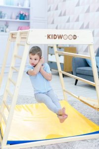 Małpiszon Domowy drewniany plac zabaw basic Domino Kidwood 6