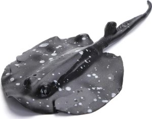 Nobleza Odblaskowa jednokolorowa manta Odblaskowa jednokolorowa manta 3