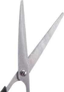 Nobleza Nożyczki do pielęgnacji zwierząt Nożyczki do pielęgnacji zwierząt 2