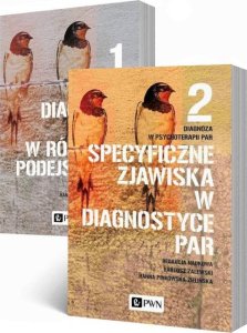 Wydawnictwo Naukowe PWN Diagnoza w psychoterapii par Tom 1-2 1