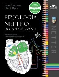 Edra Urban & Partner Fizjologia Nettera do kolorowania 1