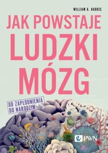 Wydawnictwo Naukowe PWN Jak powstaje ludzki mózg Od zapłodnienia do narodzin 1