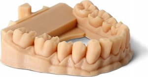 Phrozen Żywica Phrozen Water Washable Dental Model Beige 1 kg 2