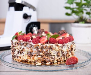 Robot planetarny First Austria Stacjonarny mieszadło FA-5259-4 14