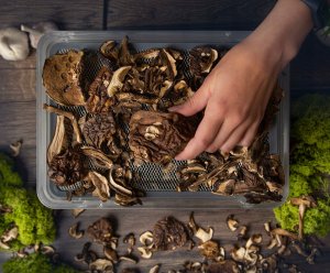 Suszarka First First Austria Maisto džiovyklė FIRST 5126-6 5