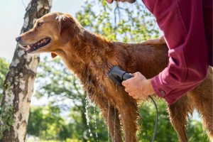 Karcher Pet wash brush 5