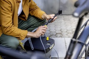 Karcher Detail brush 5