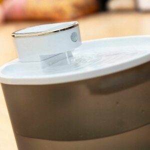 InnovaGoods Poidło z czujnikiem ruchu dla kota / psa 7