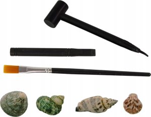 LeanToys Zestaw archeologiczny wykopaliska skorupy 4