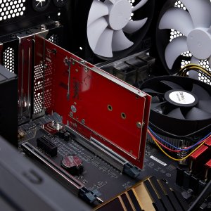 Kieszeń StarTech StarTech 1M25-U3-M2- adapter Wewnętrzny M.2 8