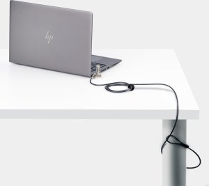 Linka zabezpieczająca StarTech UNIVC4D-LAPTOP-LOCK zapięcie do kabli czarny, srebrny 2 m 4