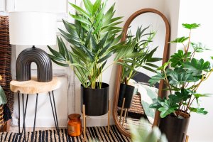 Atmosphera Sztuczna palma jak żywa w doniczce z plecionki, wys. 80 cm 6