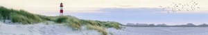 Maximex Osłona balkonowa z wzorem plaży, 5 m x 85 cm 2