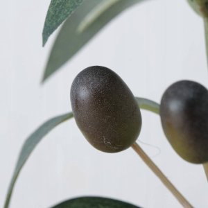 Boltze Sztuczne drzewko oliwne, 70 x 25 cm 2