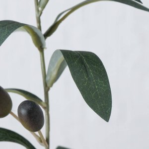 Boltze Sztuczne drzewko oliwne, 70 x 25 cm 3