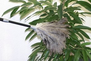 Maximex Miotełka do usuwania kurzu teleskopowa, strusie pióra 3