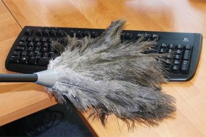 Maximex Miotełka do usuwania kurzu teleskopowa, strusie pióra 4