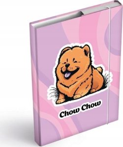 MFP paper teczka skrzydłowa z gumką box A5 Chow Chow 8021059 1