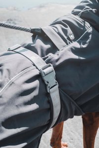 Hurtta Hurtta Extreme warmer, blackberry 30 cm 3