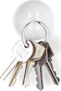 Dreamfarm Dreamfarm - Jot 4 Pack Clear 2