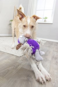 Trixie TRIXIE Monster, Dog, Plush toy, Brown, Grey, Lilac, Cotton, Polyester, 320 mm 4