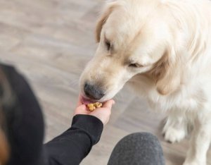 Trixie TRIXIE 34988, Baking mat, Silicone, Pink, -40 - 230 °C, 280 mm, 380 mm 7