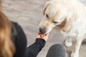 Trixie TRIXIE 34989, Baking mat, Silicone, Yellow, -40 - 230 °C, 280 mm, 380 mm 13